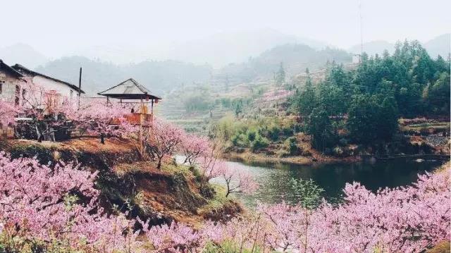 中國的桃花源和西方的烏托邦，是全人類的精神遺產(chǎn)